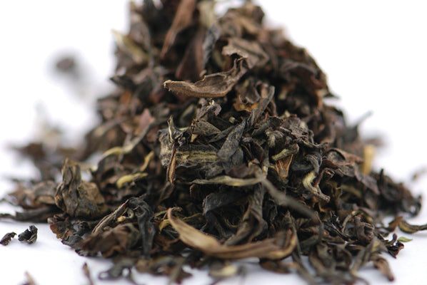 Formosa Oolong Butterfly of Taiwan