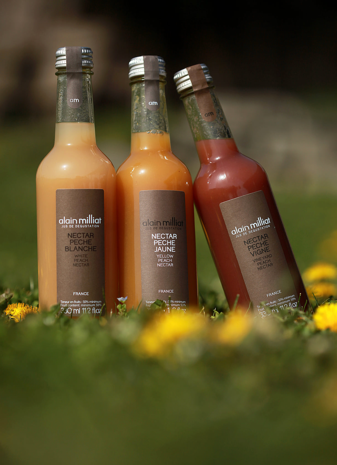 Mango Nectar 20cl