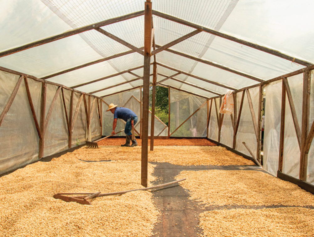 Colombia Finca Filadelfia