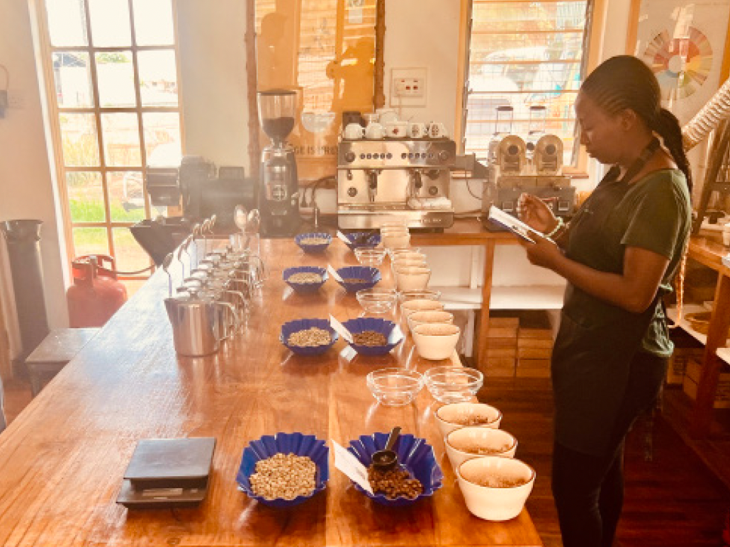 Tanzania Tumaini