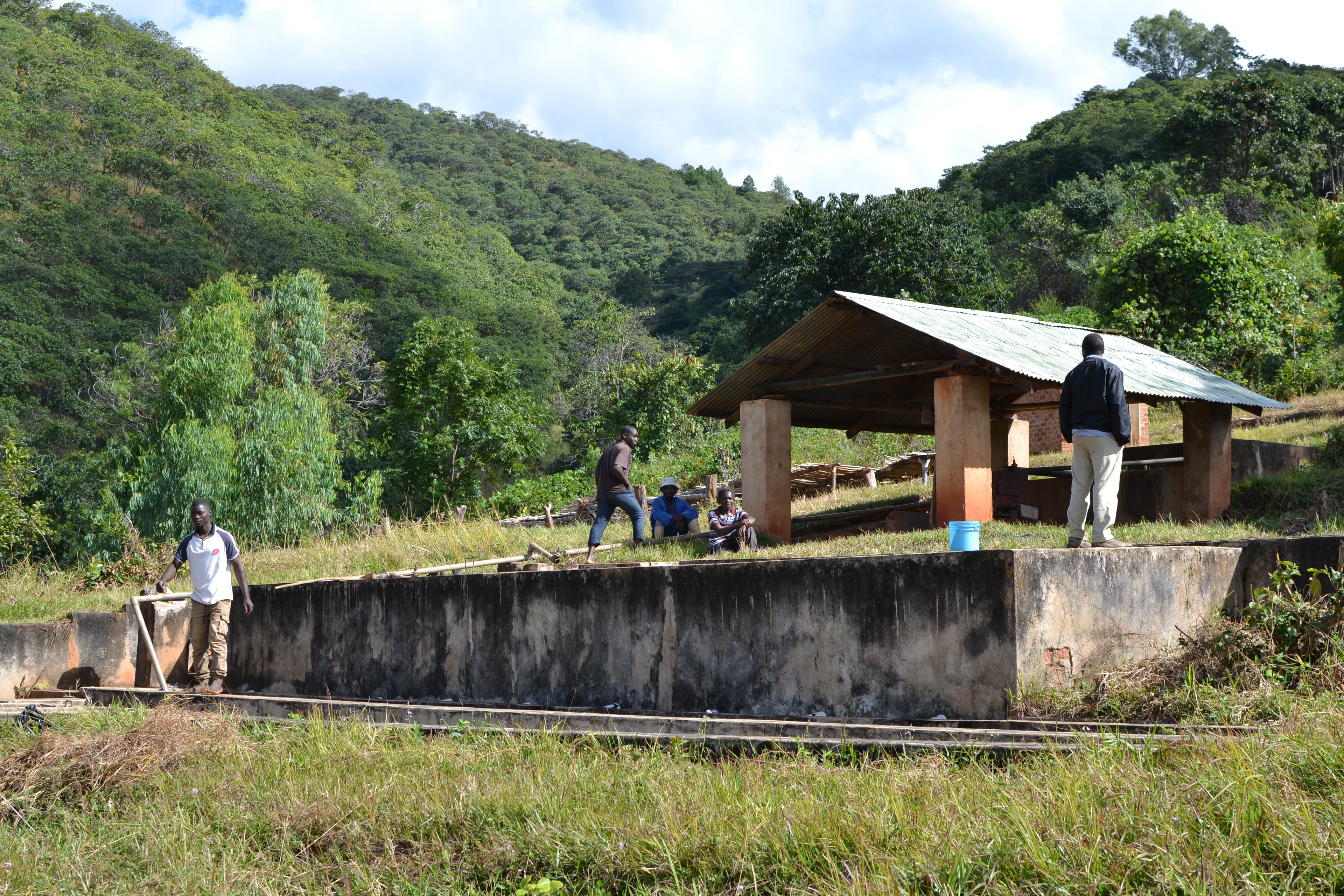 Malawi, collines de Misuku