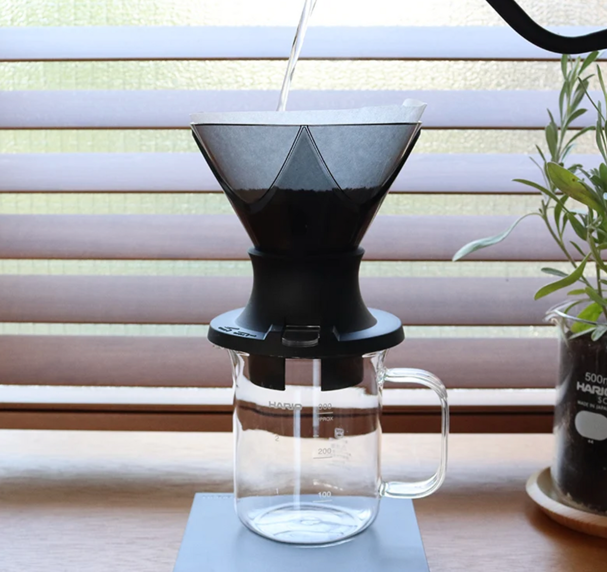 Hario Mugen & Switch dripper