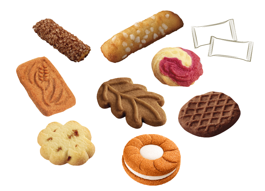 Biscuit Viva Sara "Sunny Mix" 310st